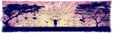 obichta-kum-sebe-si-i-nashite-izbori-evolife