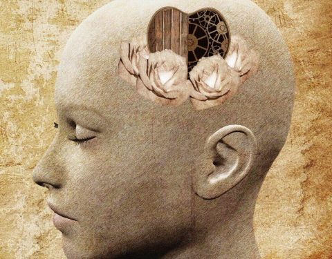 5-elementa-na-emocionalna-inteligentnost-evolife-bg